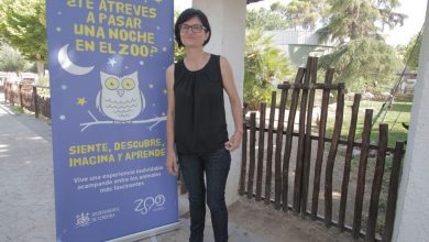 Photo of Amparo Pernichi asegura que quiere «gobernar desde la colectividad y desde el apoyo a los colectivos»