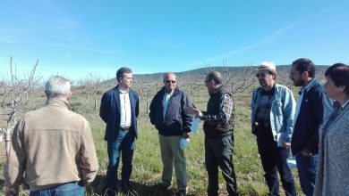 Photo of IULV-CA apuesta por la diversificación agrícola en nuestra provincia desde el gobierno de la Diputación