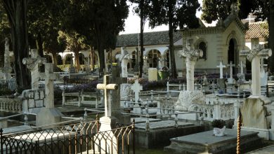 Photo of IU considera que ya no hay excusas para no continuar con el proyecto de salas de velatorio en el Cementerio de San Rafael